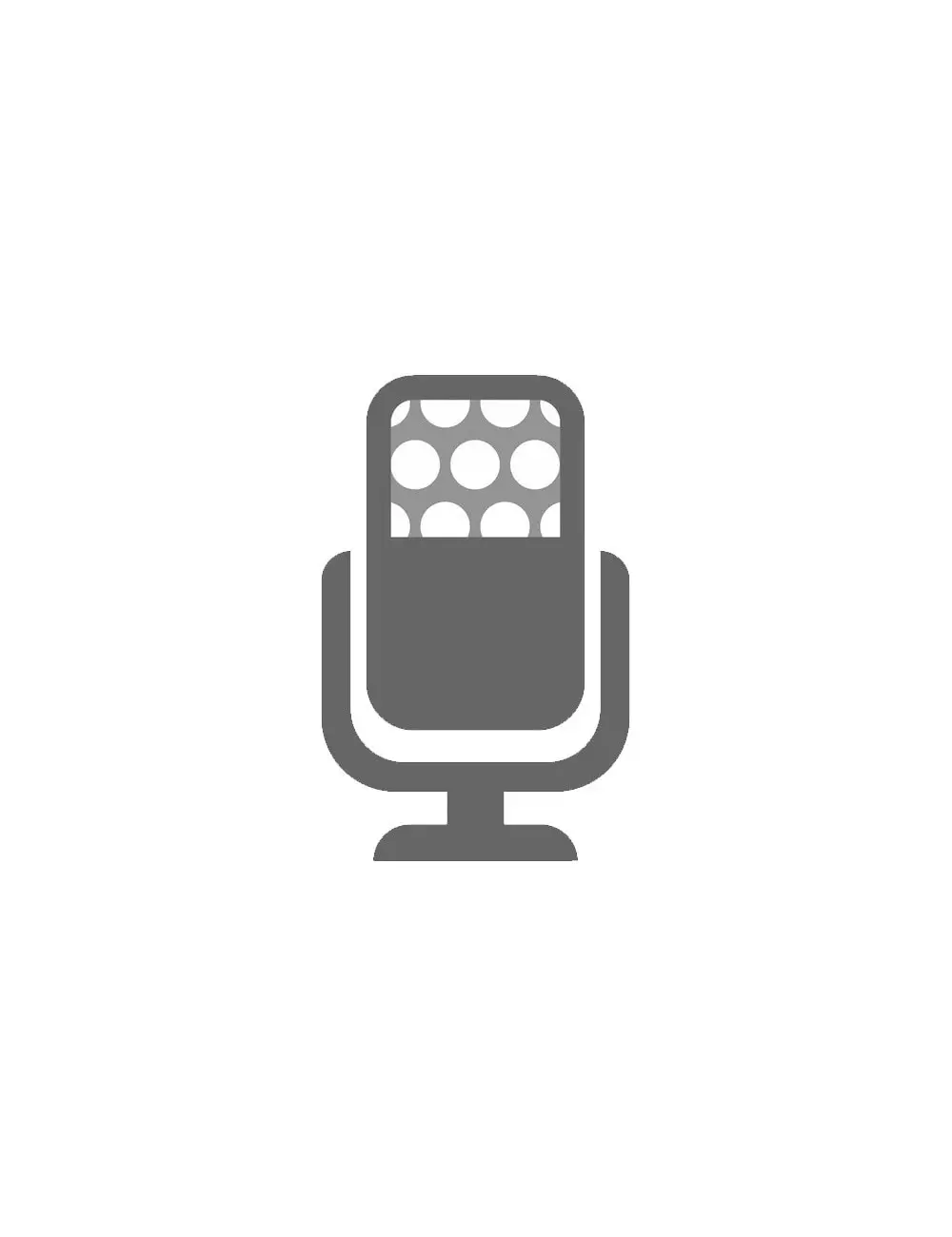 voice modem 1.jpg
